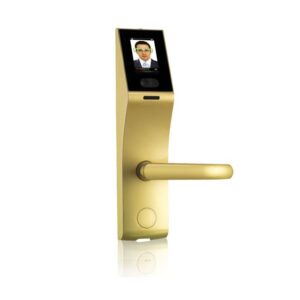 FL1000 Yüz Tanıma Kapı Açma Sistemi